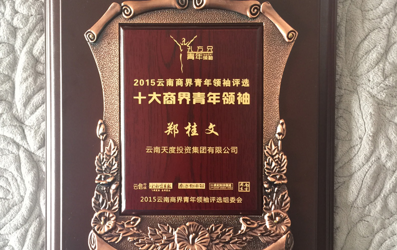 在&ldquo;互聯(lián)網(wǎng)大時(shí)代&rdquo;的背景下，天度作為本土很大和很有名的互聯(lián)網(wǎng)服務(wù)企業(yè)，為近萬(wàn)家傳統(tǒng)企業(yè)轉(zhuǎn)型互聯(lián)網(wǎng)+提供了服務(wù)和幫助，獲此獎(jiǎng)項(xiàng)后，我們將再接再厲，創(chuàng)造更高的社會(huì)價(jià)值